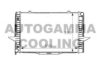 AUTOGAMMA 101282 Radiator, engine cooling